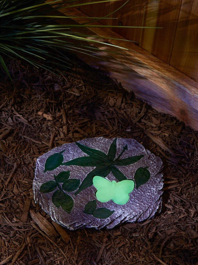 Butterfly Glowing Stepping Stone 