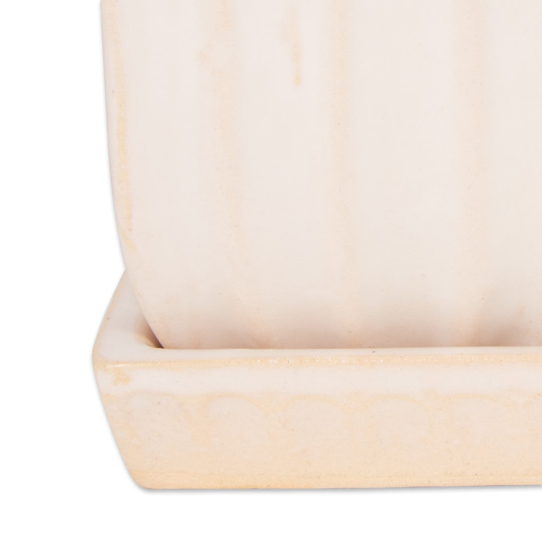 White Square Ceramic Small Planter Set Of 3