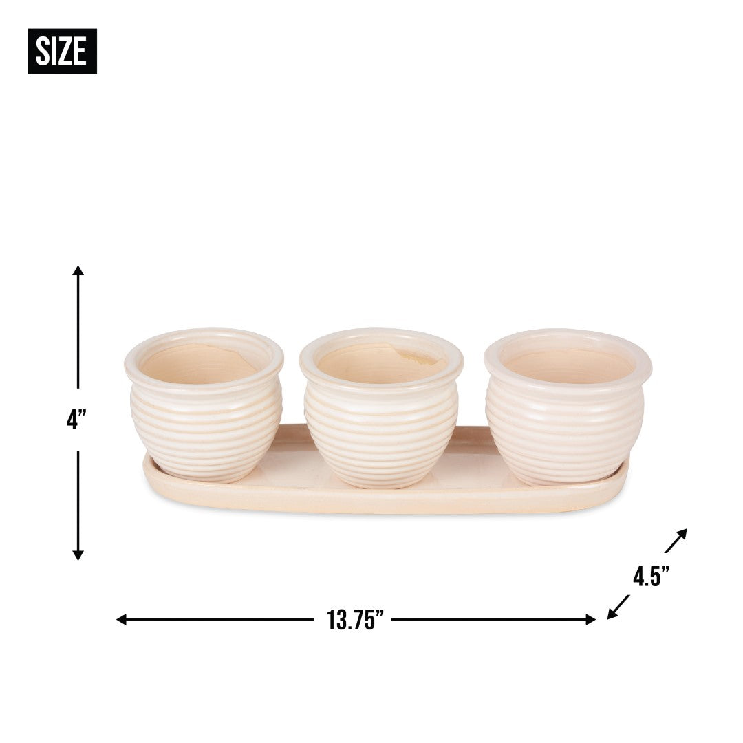 Cream Round Ceramic Small Planter Set Of 3