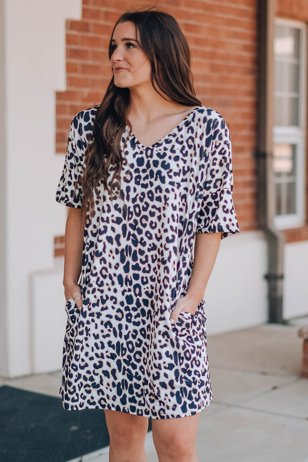 Leopard V-Neck Short Sleeve Mini Dress with Pockets