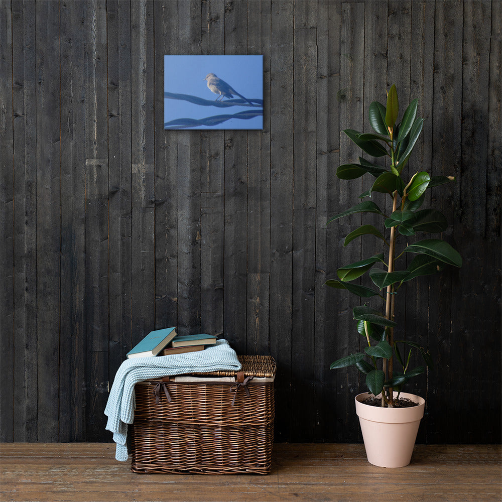 Bird Resting Canvas