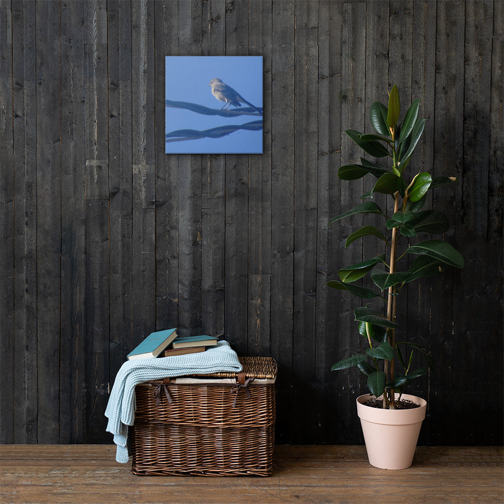 Bird Resting Canvas