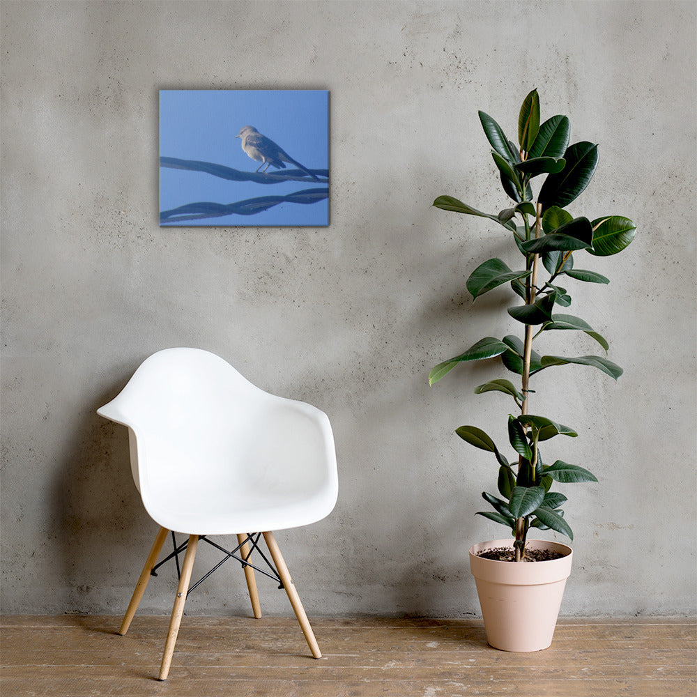 Bird Resting Canvas