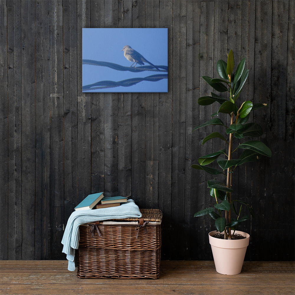 Bird Resting Canvas