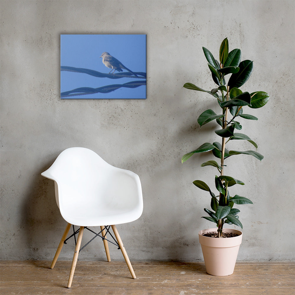 Bird Resting Canvas