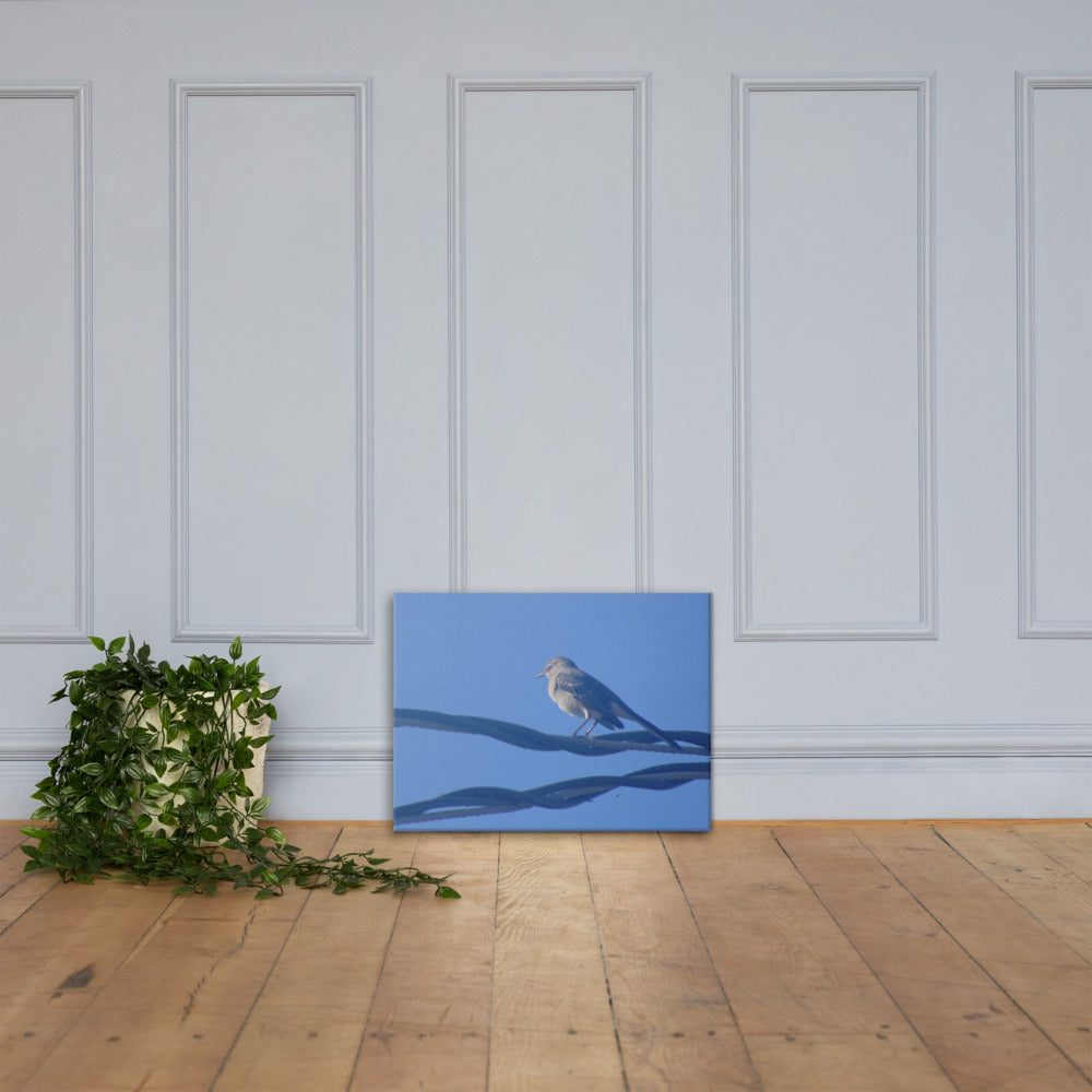 Bird Resting Canvas