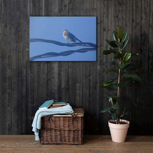 Bird Resting Canvas