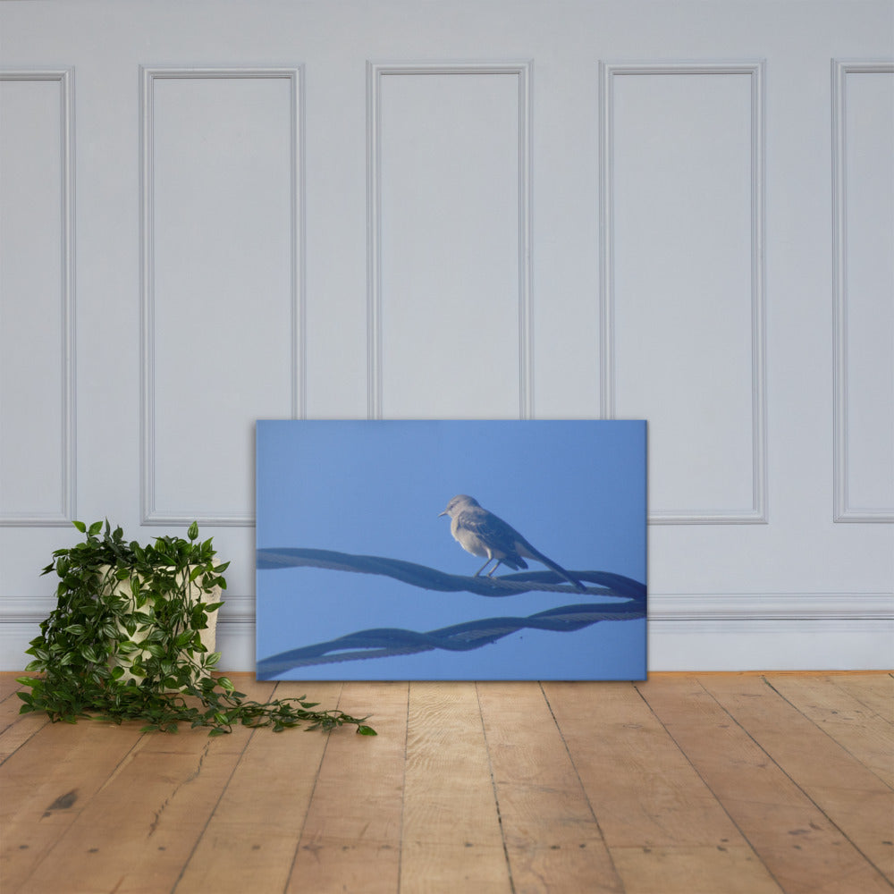 Bird Resting Canvas